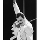 Image for article titled Mercury Brand To Die In Blaze Of Ignominious Neglect By 2012